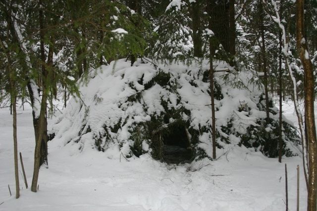 лес зима шалаш