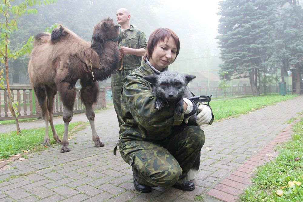 Лимпопо.Шанцев.4