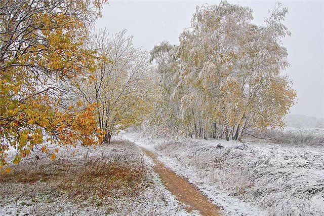первый снег осень