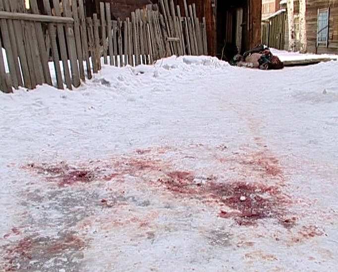 кровь на снегу