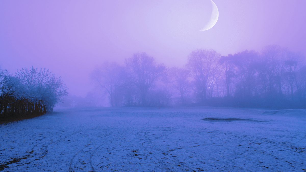 туман зима красиво