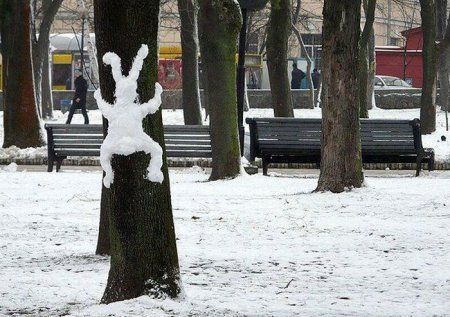 снег теплая погода снежный заяц
