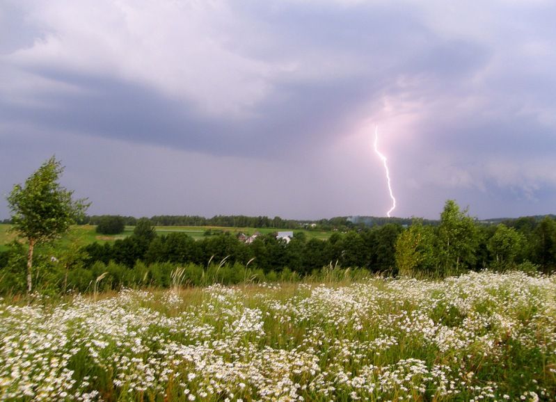 гроза молния село