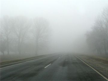 дорога туман
