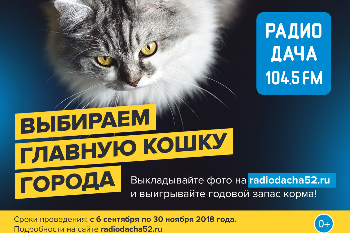 Радио Дача вновь выбирает главную кошку Нижнего Новгорода