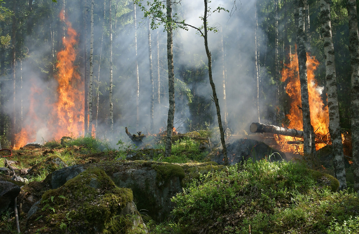 Чрезвычайная пожароопасность сохранится на юге Нижегородской области