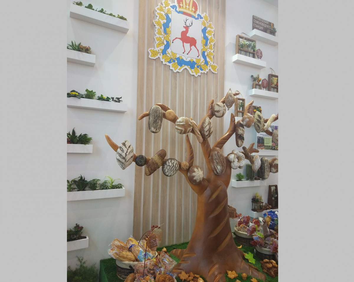 Сразу 30 предприятий АПК представляют Нижегородскую область на выставке «Золотая осень»
