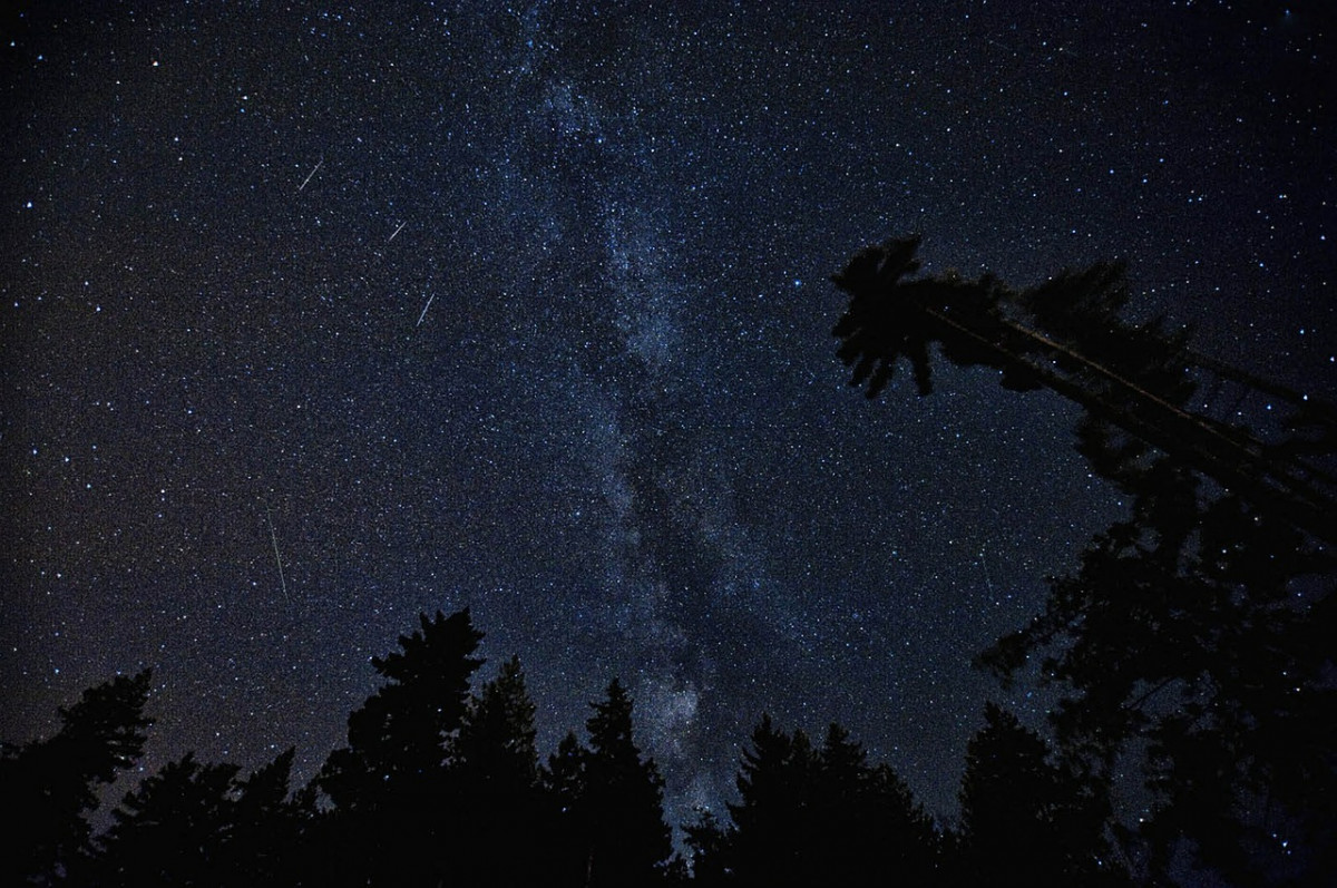 Нижегородцы смогут наблюдать самый яркий звездопад осени в середине ноября