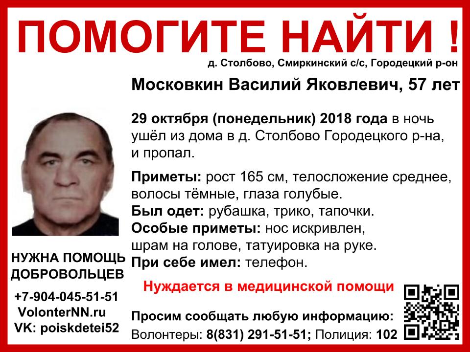 Волонтеры разыскивают 57-летнего Василия Московкина, пропавшего в Городецком районе