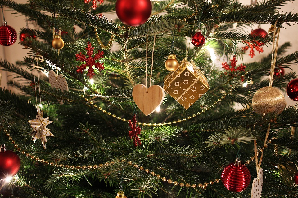 Новогодние ели будут установлены во всех районах Нижнего Новгорода к 15 декабря