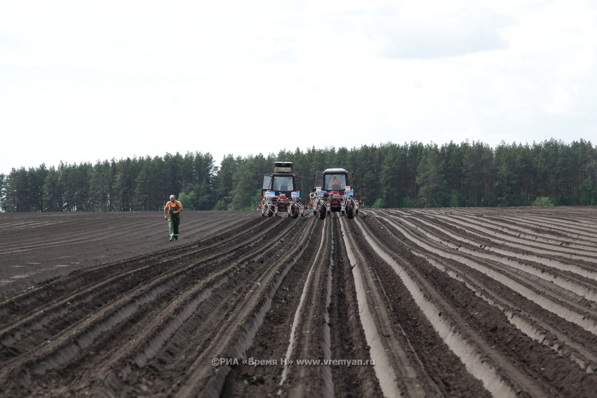 Проведение весенне-полевых работ в Нижегородской области обойдется в 5,8 млрд рублей