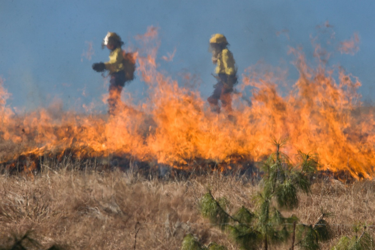 Свыше 20 строений сгорело в Нижегородской области из-за сжигания травы