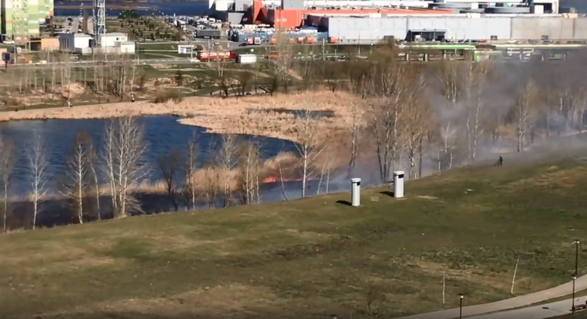 Трава вокруг Мещерского озера загорелась в Нижнем Новгороде
