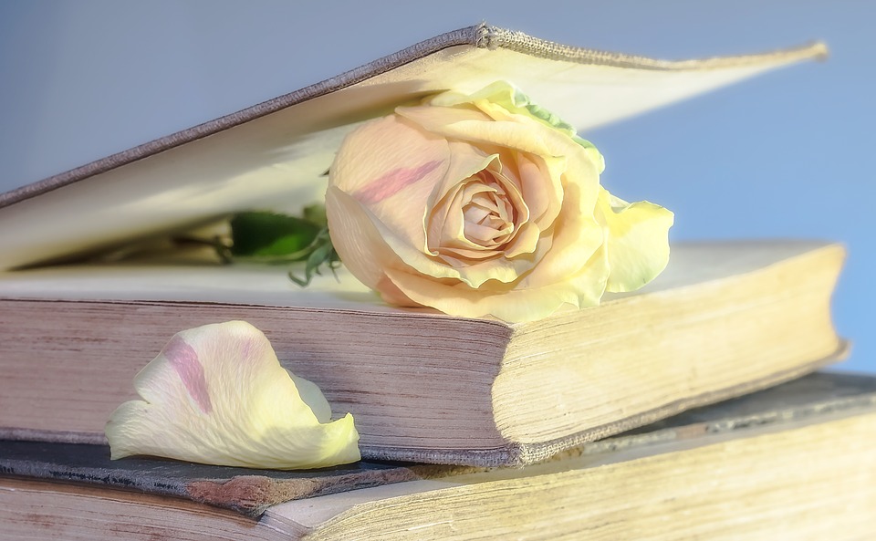 Презентация книги Ольги фон Тунцельман-Голубевой «Жизнь как она есть. Воспоминания» состоится 30 мая
