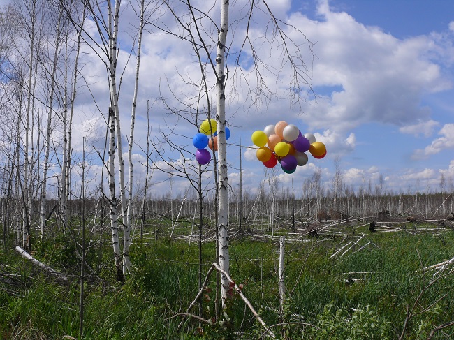 Керженский заповедник просит нижегородцев не запускать воздушные шары на выпускных