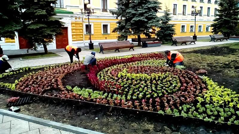 Более 50 тысяч цветов высадили в Нижегородском районе