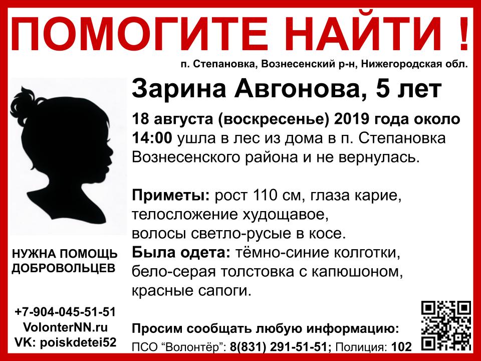 Пятилетняя Зарина Авгонова пропала в Вознесенском районе