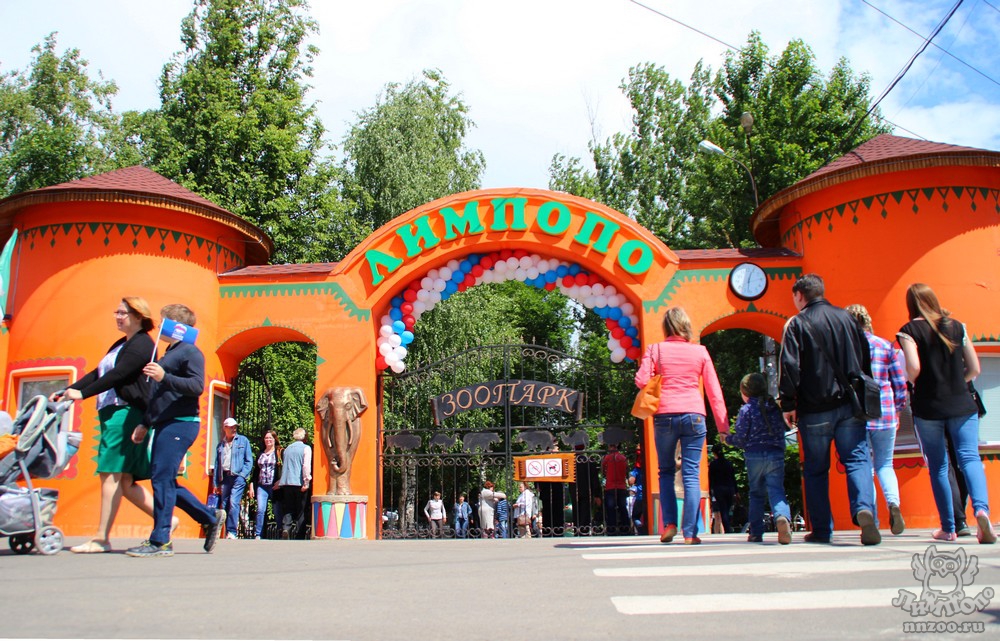 Нижегородский зоопарк «Лимпопо» вошел в топ-10 самых интересных для детей зоопарков России