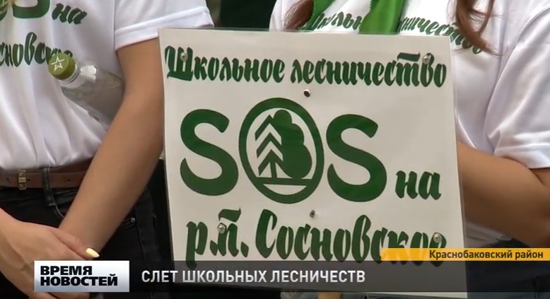 Слет школьных лесничеств состоялся в Краснобаковском районе