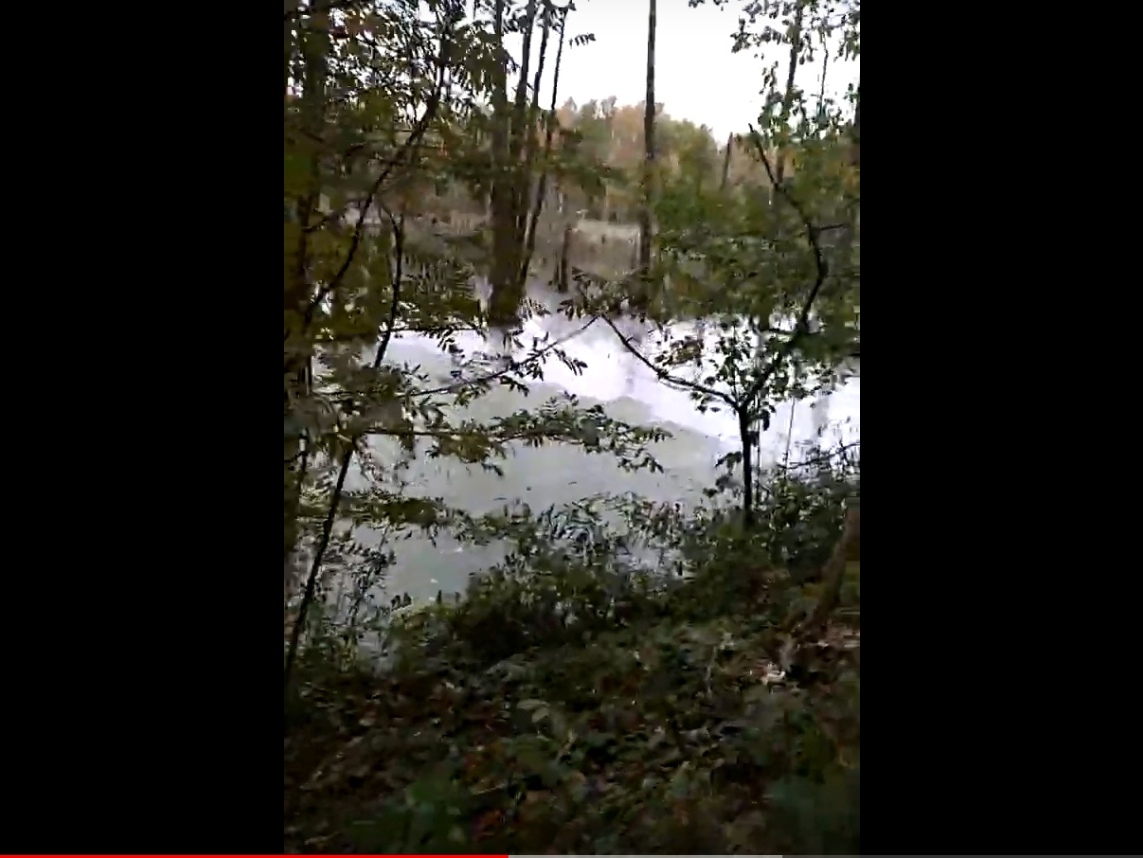 Два озера со сточными водами обнаружены в лесу в Балахне