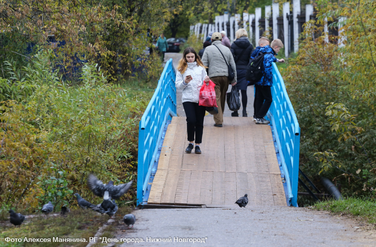 Два пешеходных моста через Левинку отремонтировали после обращения к Панову