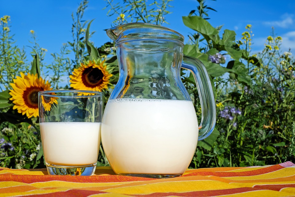 Нижегородская область вышла на 4 место по производству молока в ПФО
