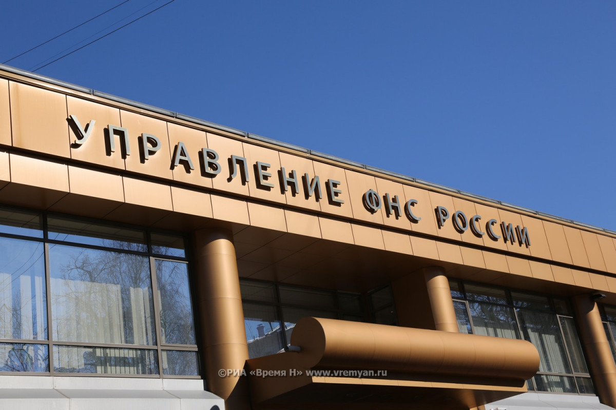 Выяснилось, кого проверит налоговая инспекция в Нижегородской области