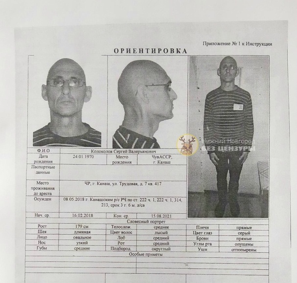 Заключенный сбежал из ИК-17 в Краснобаковском районе