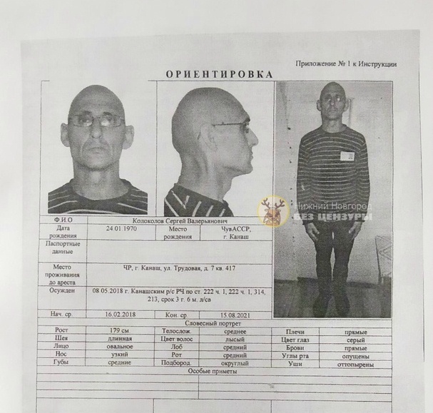 Заключенный сбежал из ИК-17 в Краснобаковском районе
