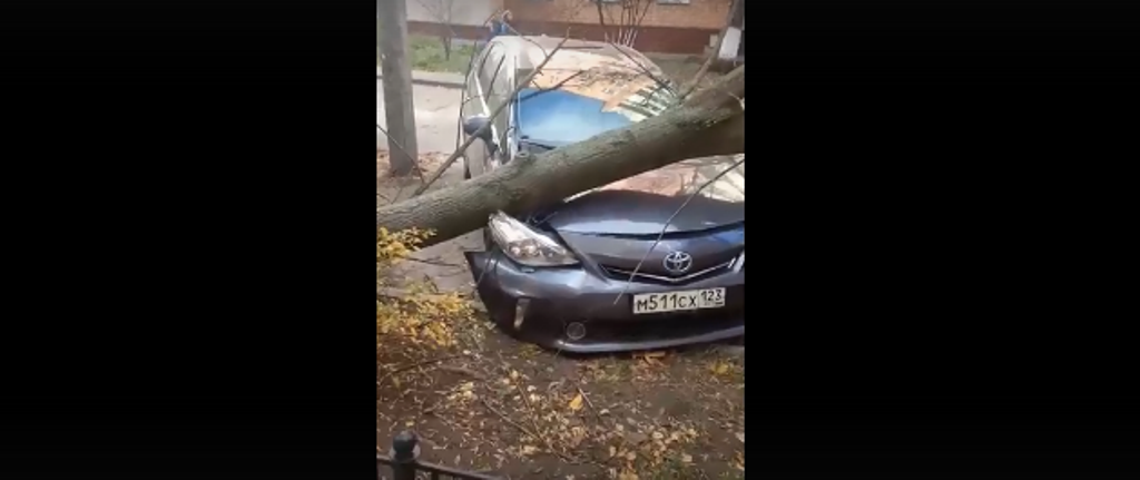 Сразу три машины пострадали от падения дерева в Советском районе