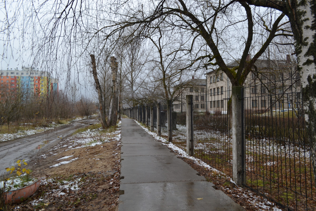 Активисты ОНФ оценили безопасность дороги до школы № 79 в Сормове