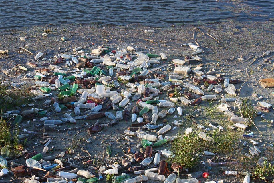 Окурки и пластиковые пакеты названы главными загрязнителями берега Волги