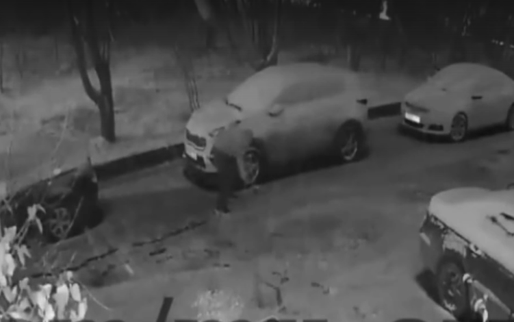 Нижегородец изрубил топором оставленные во дворе машины