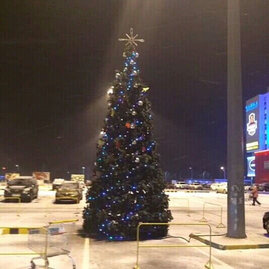 Первая новогодняя елка появилась в Нижнем Новгороде