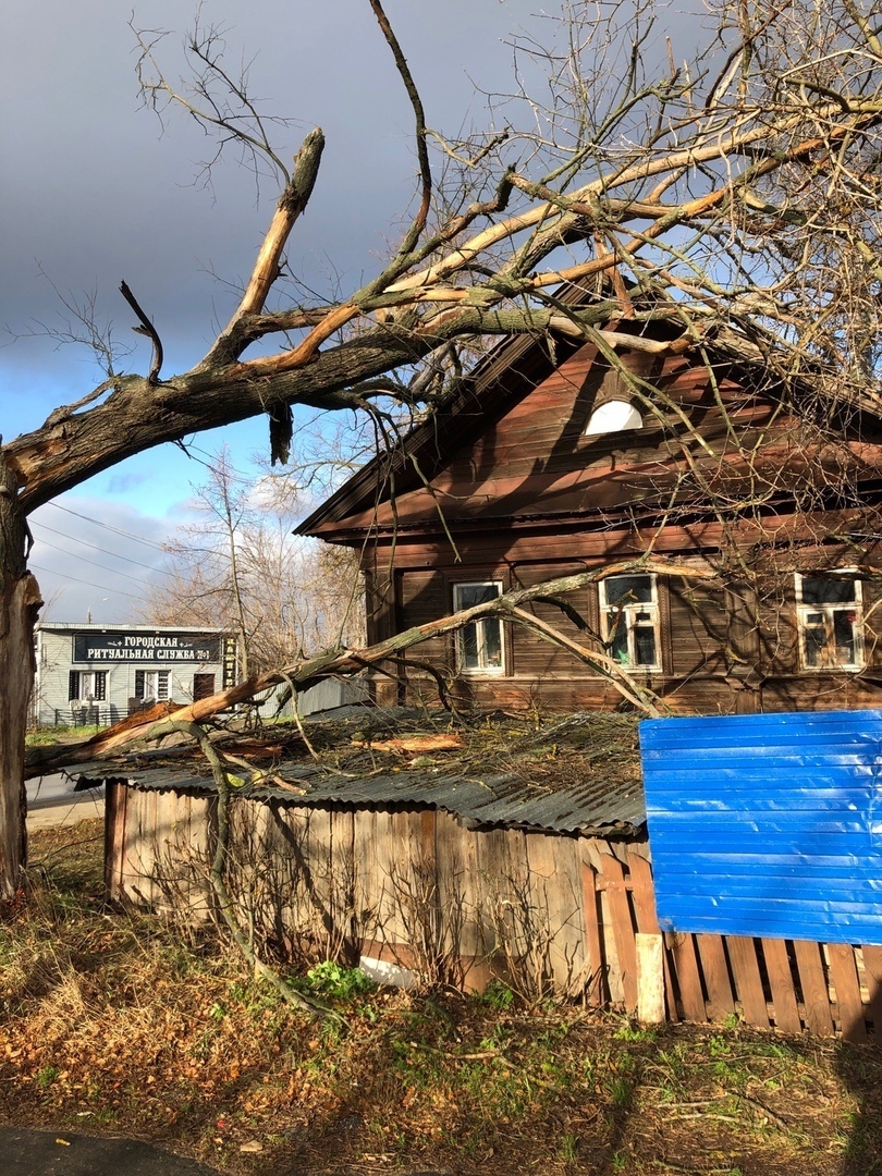 Дерево упало на жилой дом на Бору
