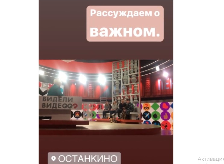 Нижегородский корги-полицейский попал на телеэкраны