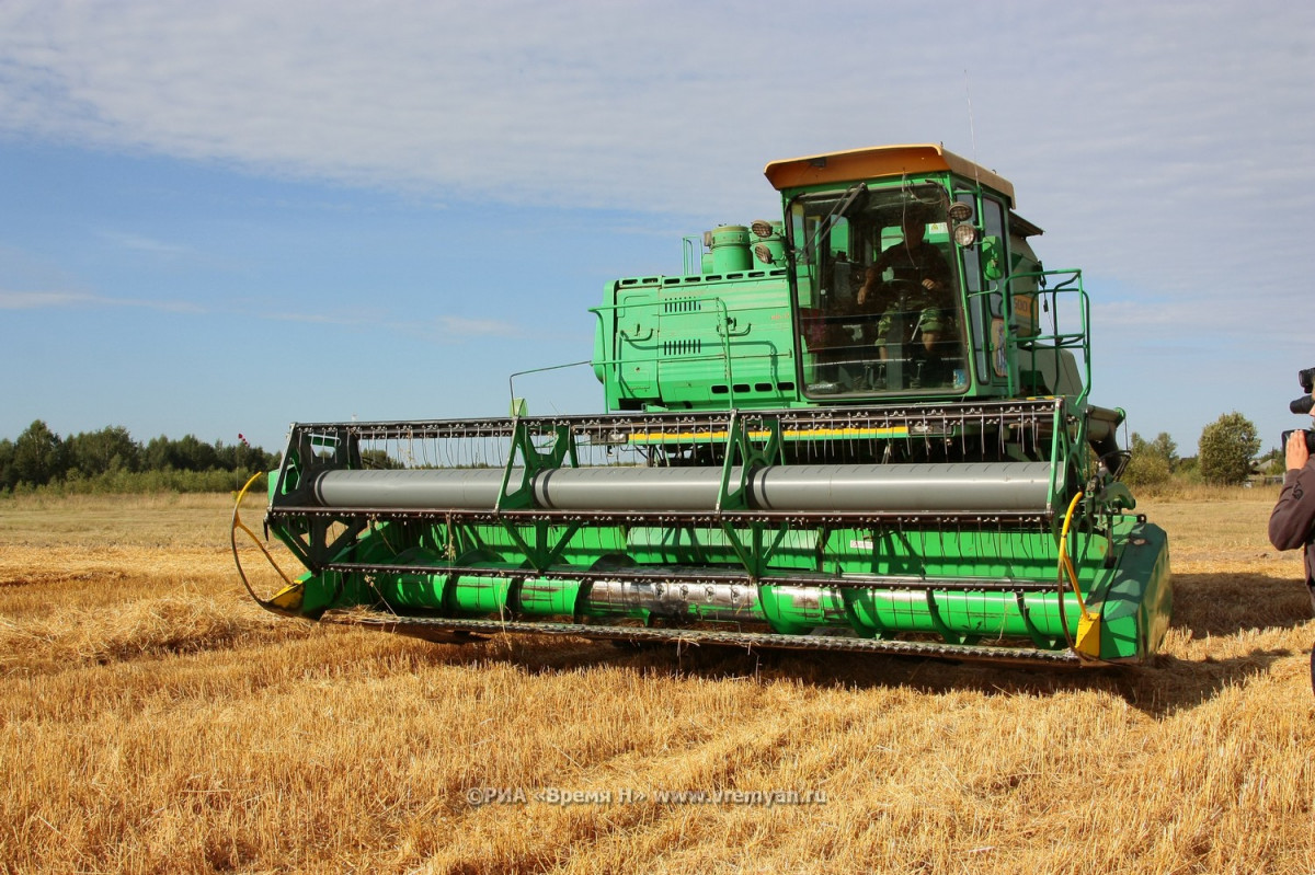 Сбор зерна в Нижегородской области вырос на 9%