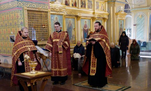 Ковчег с частицей мощей Пантелеймона встретили в храме поселка Копосово