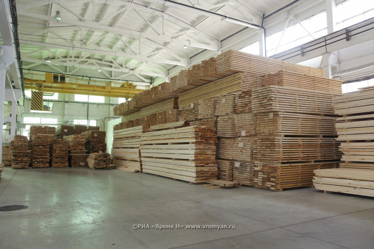 Новые штрафы за незаконную древесину могут появиться в нижегородском КоАП