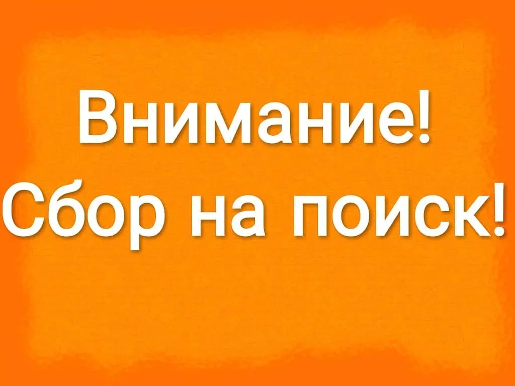 Части расчленённого тела женщины будут искать в Балахне 23 декабря