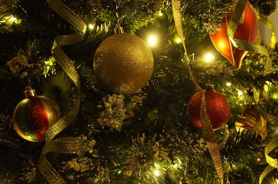 Более 3 тысяч льготных новогодних елок получили нижегородцы