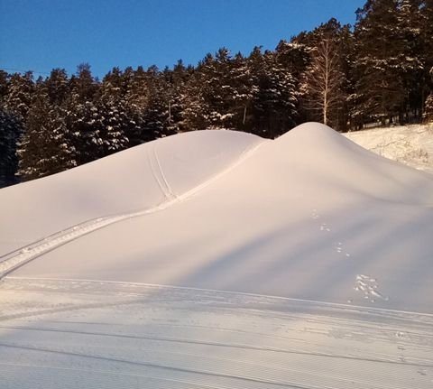 Нижегородец продает снег на «Авито»