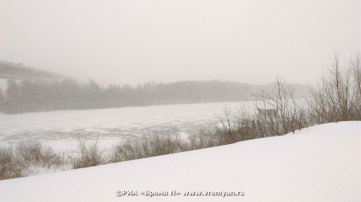 МЧС: 2 января в Нижегородской области продолжит идти мокрый снег