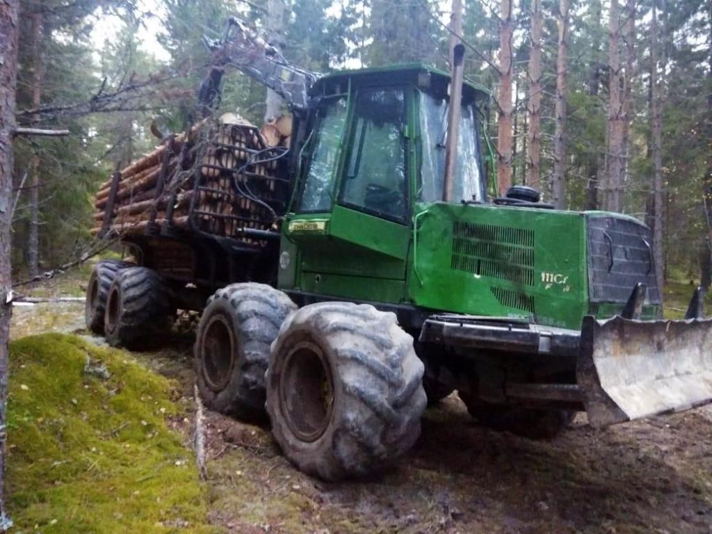 Житель Уренского района срубил лес на 17 млн рублей