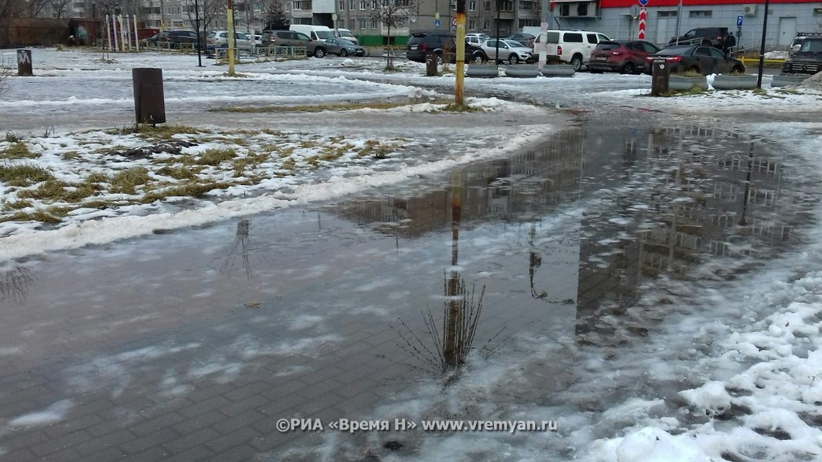 Оттепель с дождями прогнозируется в Нижнем Новгороде с 17 февраля
