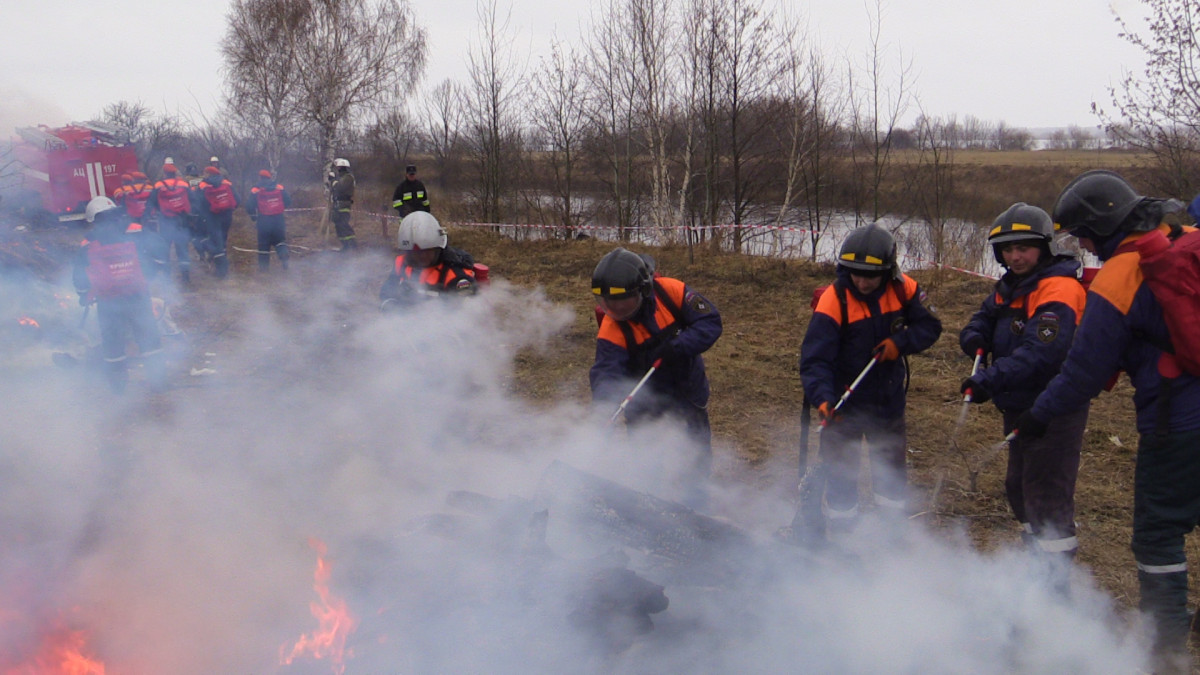 В два раза увеличилось количество случаев пала травы за 4 дня в Нижегородской области