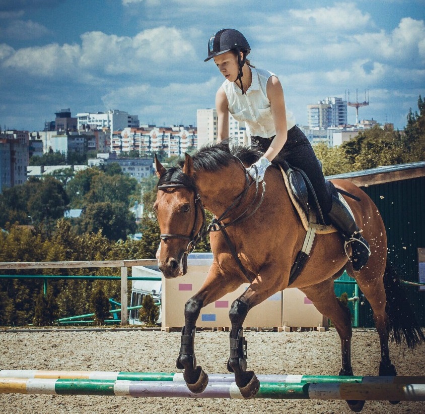 Нижегородскую школу по пятиборью и конному спорту оснастят новым оборудованием