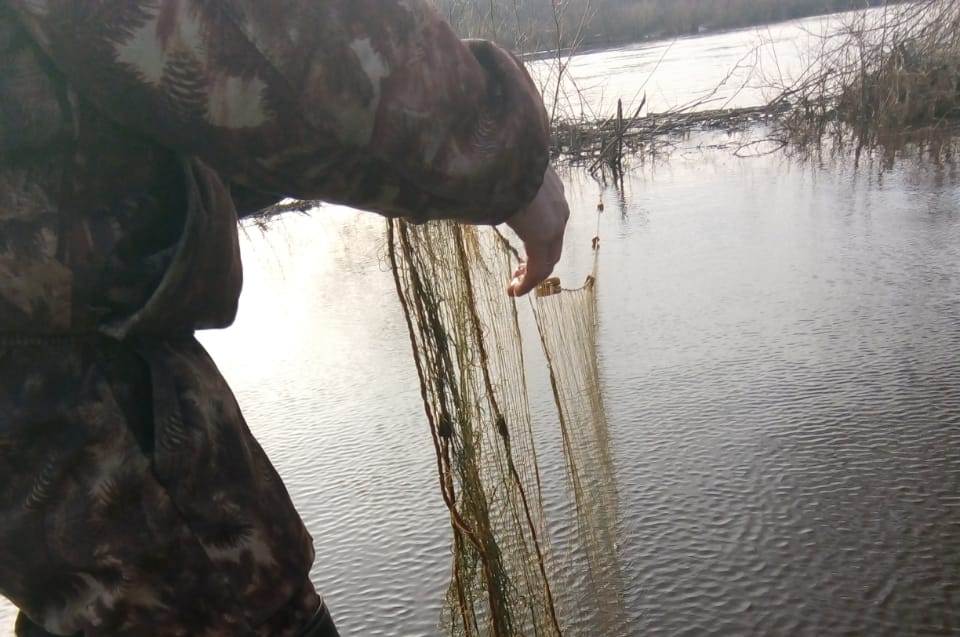 Полкилометра браконьерских сетей сняли на водоемах Нижегородской области