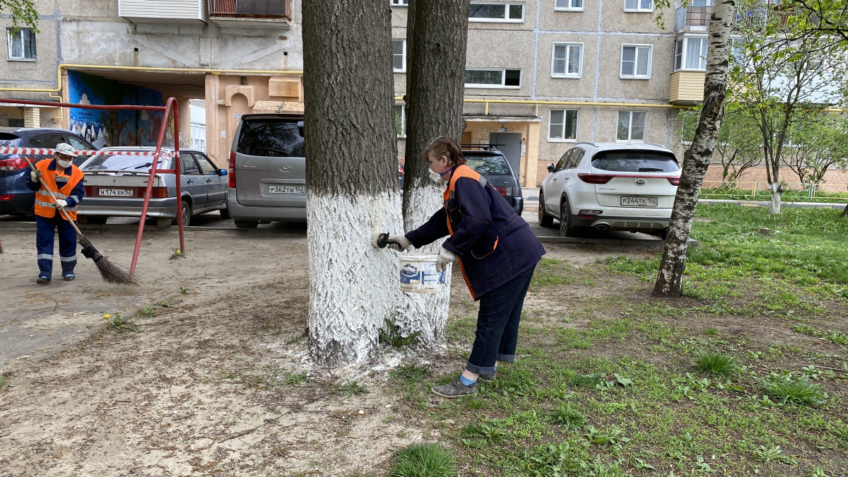 Нижегородская Госжилинспекция мониторит работы по месячнику по благоустройству