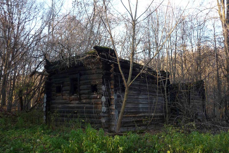 Избу Салтыкова восстановят на Щелоковском хуторе Нижнего Новгорода